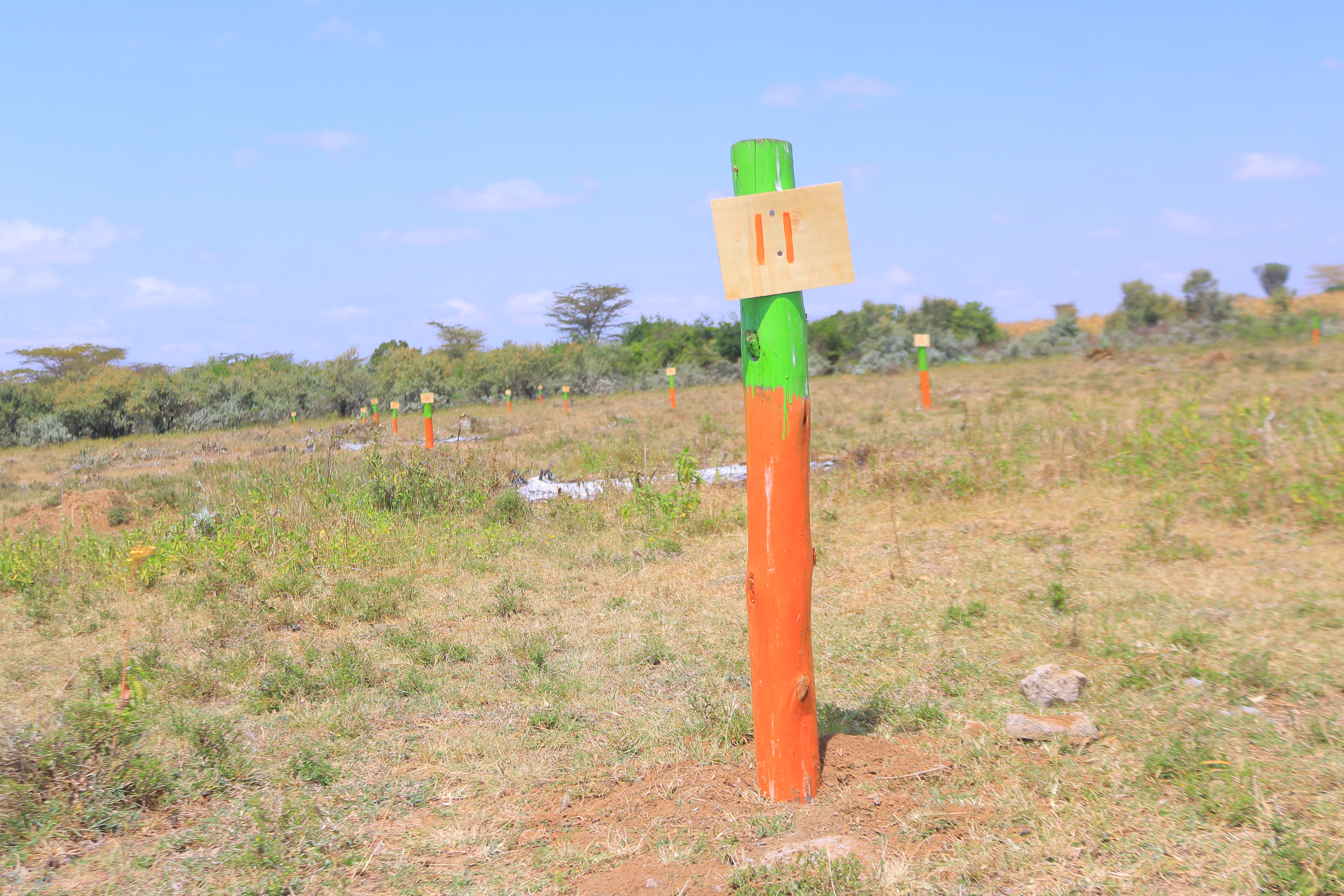 Amani Gardens Phase 7 Olerai Narok – neighbourhood surroundings